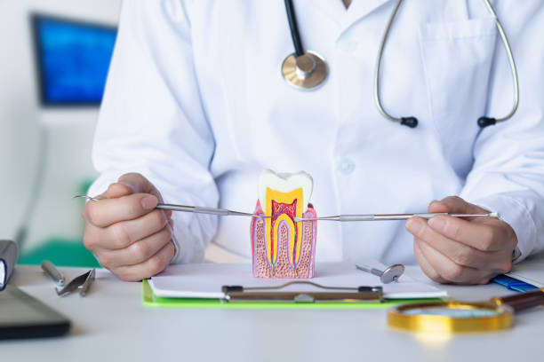 Best Emergency Dental Services for Seniors in Harper Woods, MI